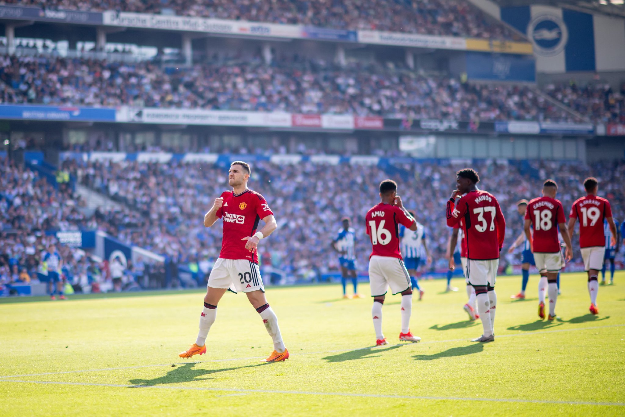 仅暴露了防 仅暴露了防